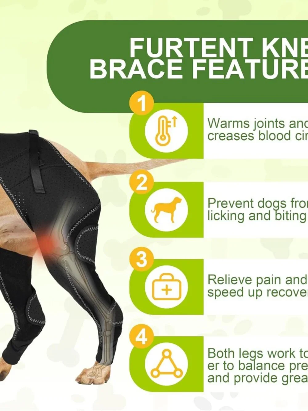 Dog ACL Knee Brace with Cruciate Ligament Injuries